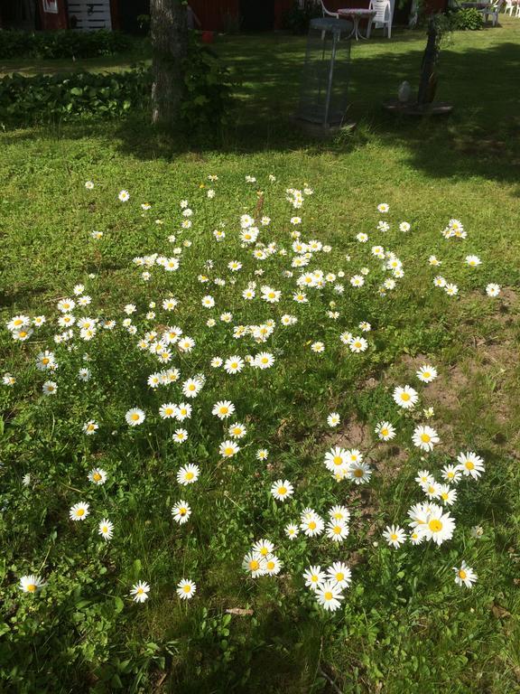 Hotel Swedish Idyll Årstad Zewnętrze zdjęcie